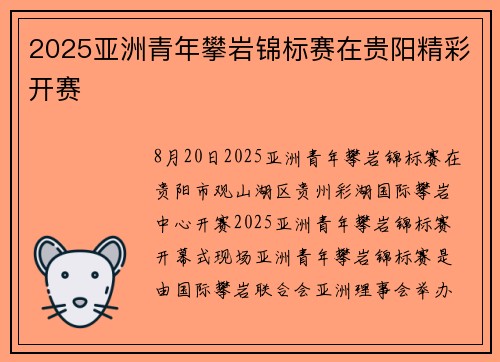 2025亚洲青年攀岩锦标赛在贵阳精彩开赛